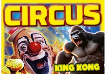 Circus Francés en Adeje - Tenerife