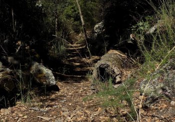 RUTA SIERRA MIRABUENO en Badajoz