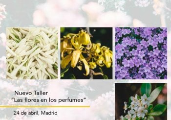 Taller presencial 