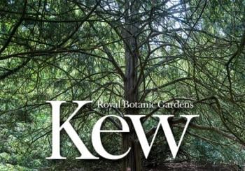 Forest Bathing at The Royal Botanic Gardens, Kew London