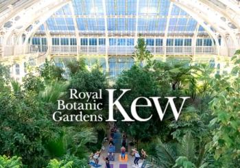 Temperate House Yoga Experience at The Royal Botanic Gardens, Kew en London