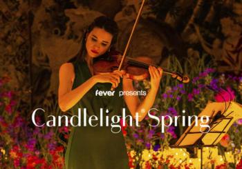 Candlelight: Larga Vida a las Leyendas del Rock Alicante