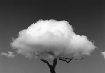 La naturaleza de las cosas. Chema Madoz. Visita comentada Santiago de Compostela