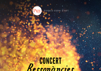 CONCERT RESSONÀNCIES AMB SERGI SIRVENT I DAVID VIÑOLAS en Barcelona