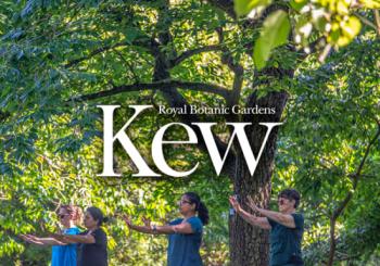 The Royal Botanic Gardens - Kew - Tai Chi Sessions London