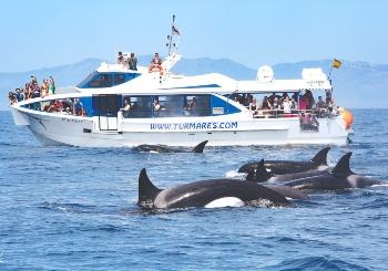 Excursiones Desde el Puerto de Ribeira en A Coruña