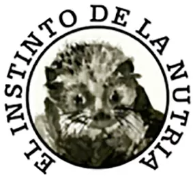 10 Mitos sobre las Elecciones Generales