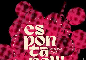 Espontanew. Salón del vino natural y de mínima intervención de Navarra