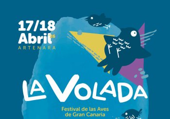 La Volada, Festival de las Aves de Gran Canaria Palmas, Las