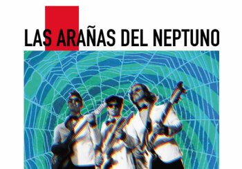 Las arañas del neptuno en Santa Cruz de Tenerife