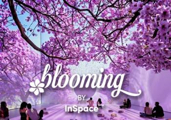 BLOOMING: La Ciudad Florece - Experiencia inmersiva inspirada en las jacarandas de CDMX Mexico City