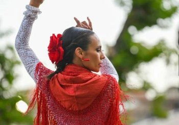 Cursos Peña Flamenca Poble-Sec en Barcelona