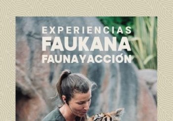 Visitas Faukana - Jornadas Salvajes en Madrid