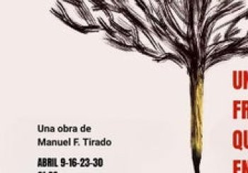 Un árbol tan frondoso que no deja entrar la luz Madrid
