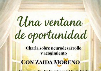 Una ventana de oportunidad: charla para familias sobre neurodesarrollo y acogimiento (ADAMCAM) en Madrid