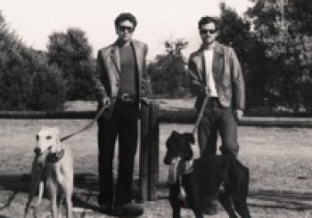 Taburete - El Perro que fuma Tour Segovia