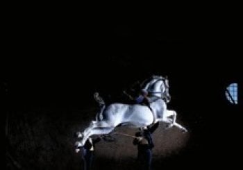 Como bailan los caballos andaluces JEREZ DE LA FRONTERA - CADIZ