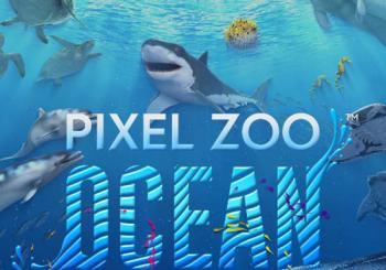 Pixel Zoo Ocean Heidelberg - Immersive 360° Projektionsshow