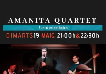 AMANITA QUARTET Jazz fusion en vivo Barcelona