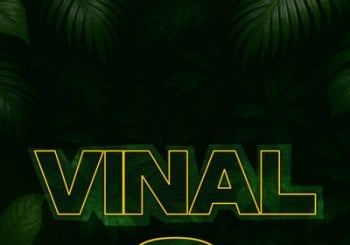 Vinal Fest 3 Alicante/Alacant