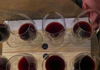 Wine Flight Malbecs de Mendoza no Miya Wine Bar Moema São Paulo
