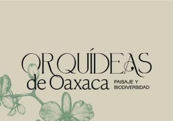 Orquídeas de Oaxaca | Expo-venta Mexico City