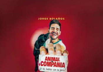 Animal de Compañía en Puertollano a Toledo