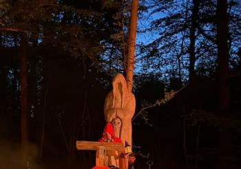 Accrobranche nocturne : aventure à la belle étoile au Sherwood Parc en Paris