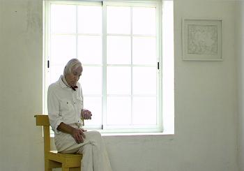 STIPO PRANIKO CON CUADROS BLANCOS . Cine Vértigo