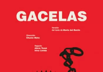 Gacelas. En Madrid