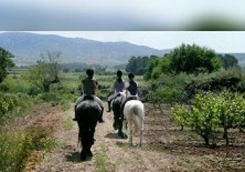 Visita a bodega con cata y ruta a caballo GUARDIOLA DE FONT-RUBÍ