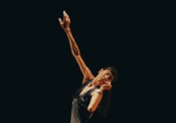 Delicada caída - Provisional Danza / CarmWerner MADRID - LA CABRERA