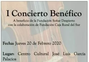 I Concierto Benéfico Fundación Soñar Despierto. En Sevilla