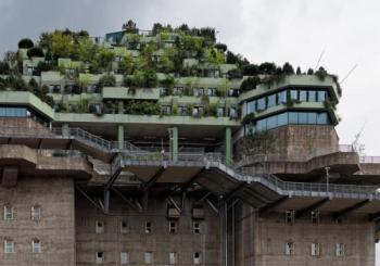 Grüner Bunker-Tour auf St. Pauli – das Original en Hamburg