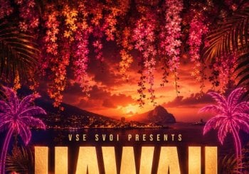 HAWAII PARTY — ????? ?????? ????????? ?????? en Alicante