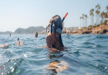 Limpieza de playa en Alicante