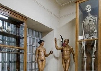 Museo Anatomía Javier Puerta - Visita guiada en Madrid