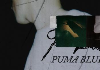 Puma Blue en México
