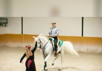 Andalusian Night a Torremolinos
