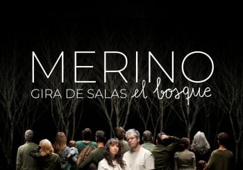 MERINO_ZARAGOZA_GIRA EL BOSQUE