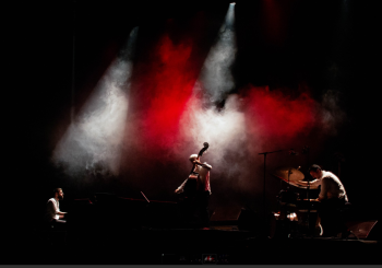 Concerts a Palau: 