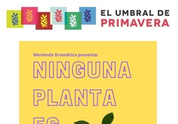 NINGUNA PLANTA ES DE INTERIOR en Madrid