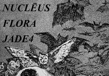 Concierto: Nucleus + Flora + Jade4 a Lugo