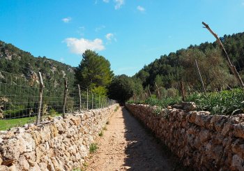 L'ofici de marger, una feina de futur Balears, Illes