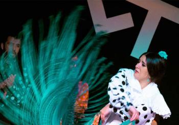 Espectáculo de Flamenco en directo Madrid