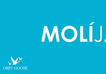 TARDEO CAN MOLI - MARTES 14 JULIO en Alicante