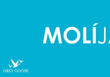 TARDEO CAN MOLI - LUNES 10 DE AGOSTO en Alicante