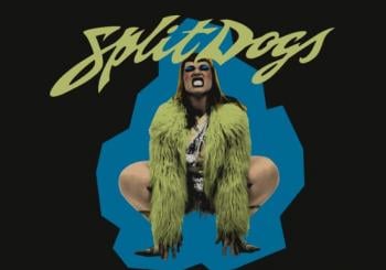 SPLIT DOGS en Sala Nazca, Madrid 2026