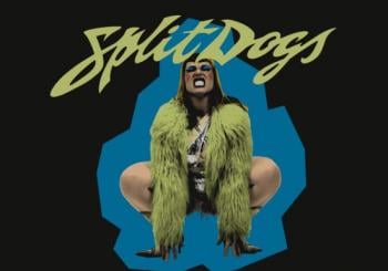 SPLIT DOGS en Sala Upload, Barcelona 2026