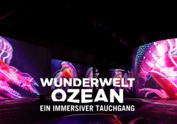 Wunderwelt Ozean - Ein immersiver Tauchgang en Dortmund